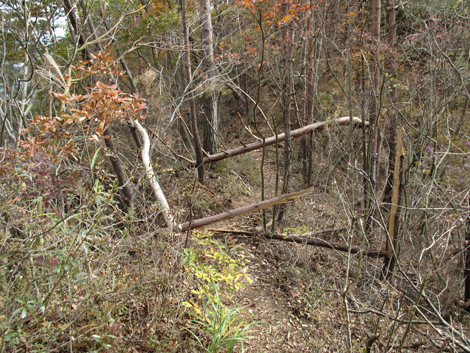 20181126hike (52)
